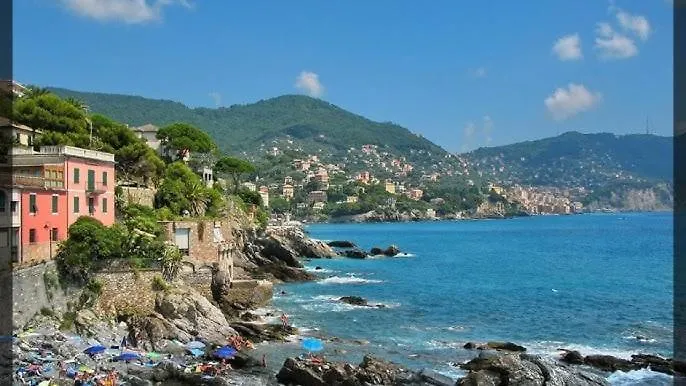 Apartment Appartamento Recco Centrale Italy